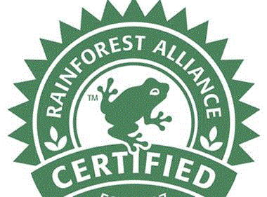 Tesco makes 100% Rainforest Alliance certified cocoa pledge