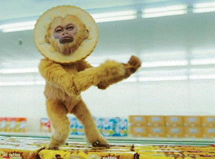 Burtons Dodger's toffee monkey