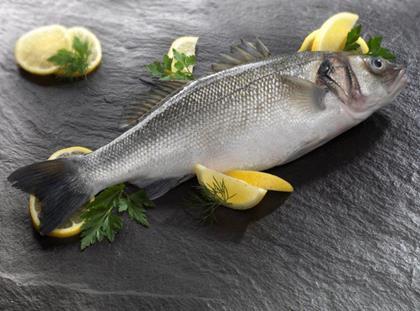 Anglesey Aquaculture sea bass
