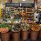 Budgens Hedge End concept store