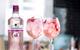 gordons pink gin