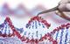 DNA GettyImages-1040300604