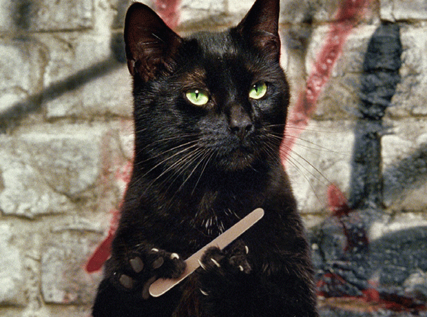 Cravendale milk cat advert