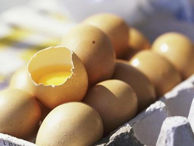 UK exposure to fipronil widens as 14 additional egg products withdrawn